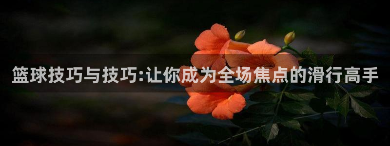 篮球技巧与技巧:让你成为全场焦点的滑行高手