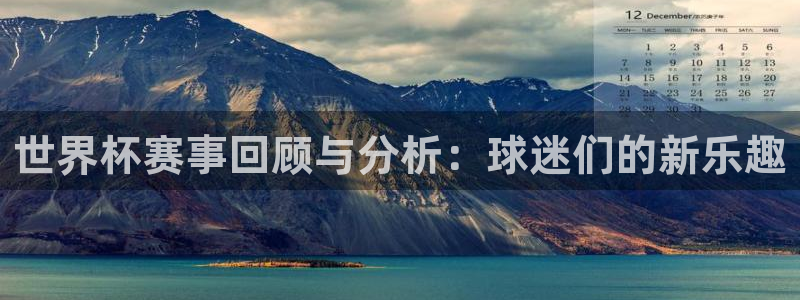 世界杯赛事回顾与分析：球迷们的新乐趣