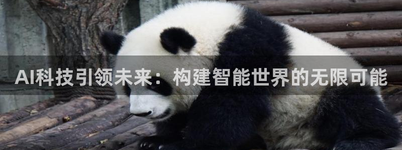 AI科技引领未来：构建智能世界的无限可能