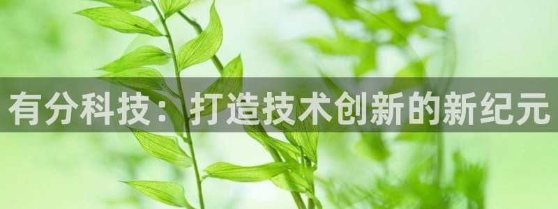 有分科技：打造技术创新的新纪元