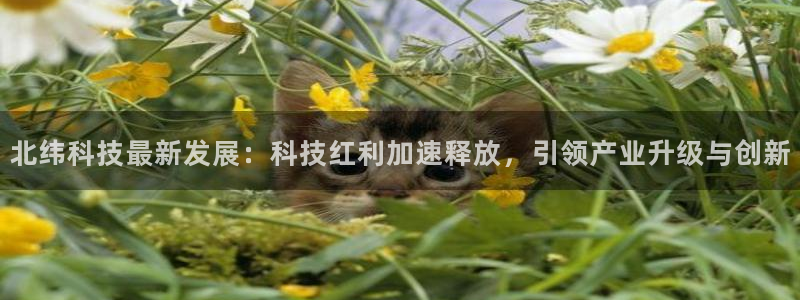 北纬科技最新发展：科技红利加速释放，引领产业升级与创新