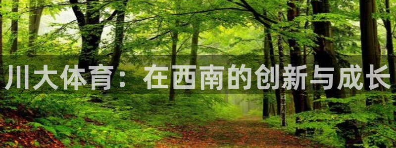 川大体育：在西南的创新与成长