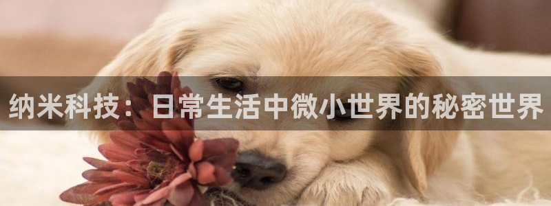 纳米科技：日常生活中微小世界的秘密世界