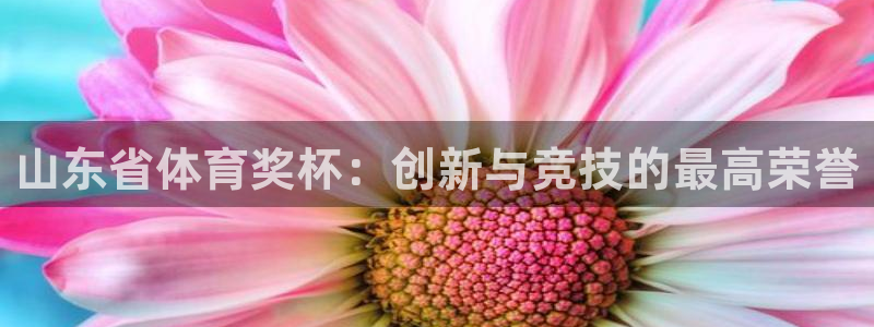 山东省体育奖杯：创新与竞技的最高荣誉