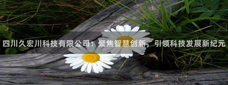 四川久宏川科技有限公司：聚焦智慧创新，引领科技发展新纪元
