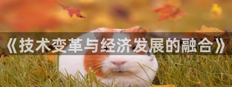 《技术变革与经济发展的融合》