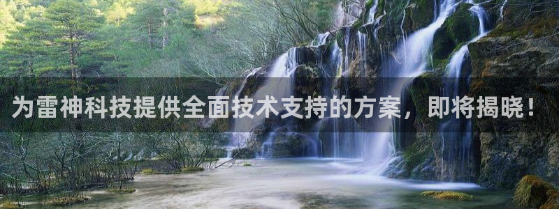 为雷神科技提供全面技术支持的方案，即将揭晓！