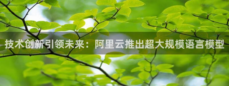 技术创新引领未来：阿里云推出超大规模语言模型