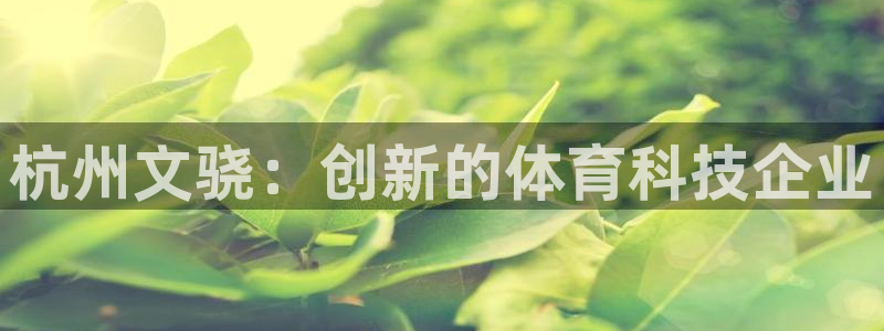 杭州文骁：创新的体育科技企业