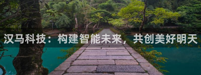 汉马科技：构建智能未来，共创美好明天