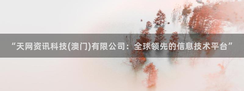“天网资讯科技(澳门)有限公司：全球领先的信息技术平台”