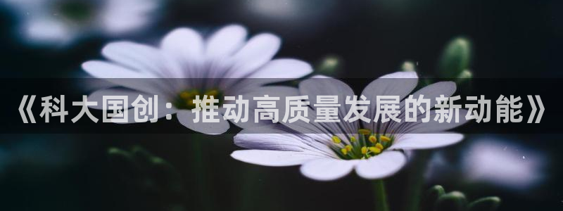《科大国创：推动高质量发展的新动能》
