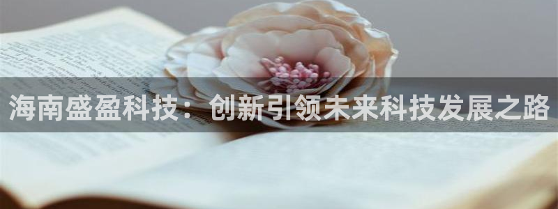 海南盛盈科技：创新引领未来科技发展之路
