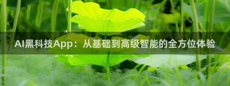 AI黑科技App：从基础到高级智能的全方位体验