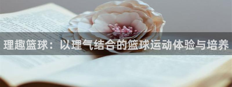理趣篮球：以理气结合的篮球运动体验与培养