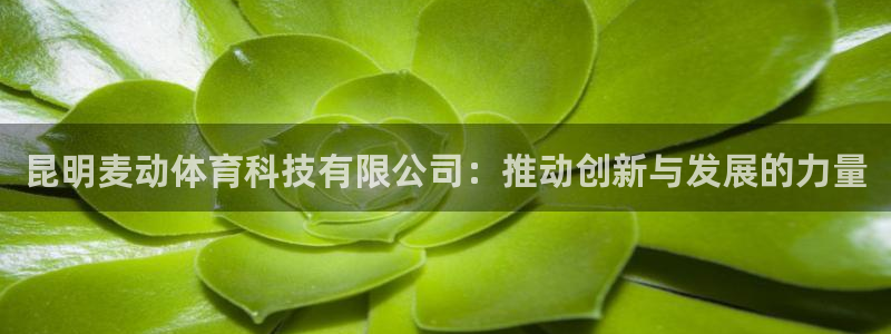 昆明麦动体育科技有限公司：推动创新与发展的力量